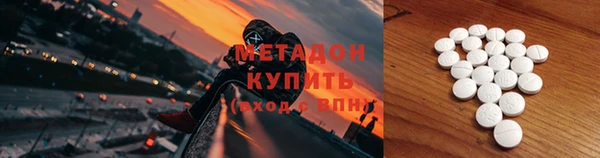 сатива Туринск