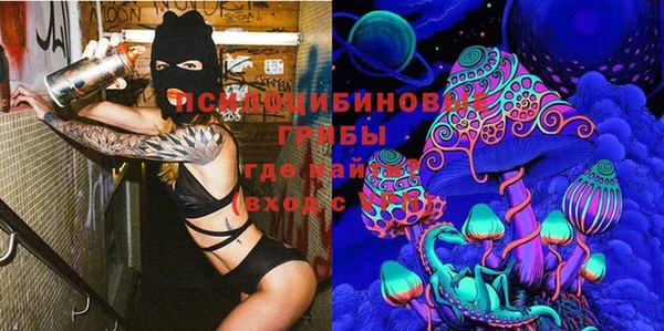 Альфа ПВП Арсеньев