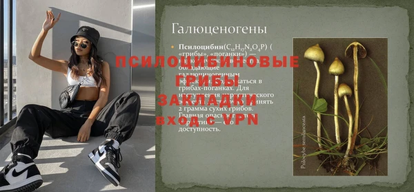 сатива Туринск