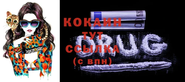 сатива Туринск