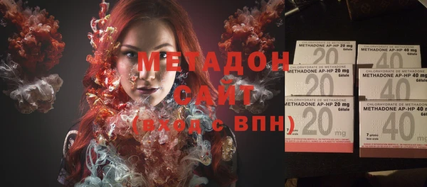 сатива Туринск