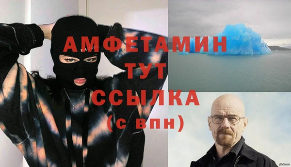 сатива Туринск