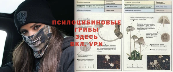 хмурый Тутаев